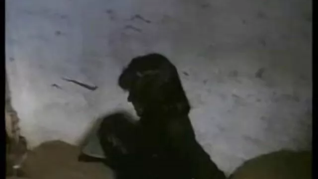 Hot porno ingen registrering  Pige med små bryster porno film hamster