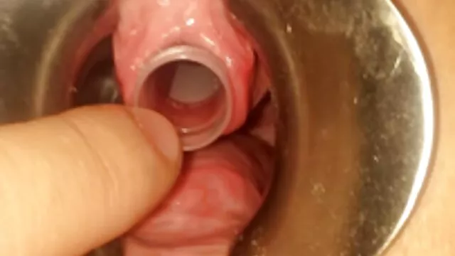 Hot porno ingen registrering  Nådeløs forbandelse i alle huller til porno modne kvinder perfektion