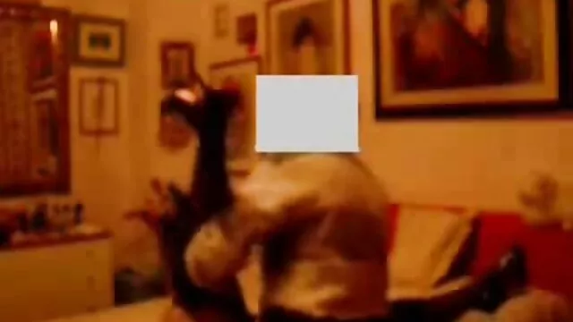 Hot porno ingen registrering  Jeg installerede et skjult indisk porno kamera i soveværelset og bragte min kæreste der