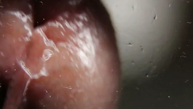 Hot porno ingen registrering  En masse sorte kritiserede hamster porno film en lille kylling