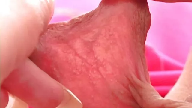 Hot porno ingen registrering  Den stærkeste orgasme blev modtaget piercings pornos efter orgasme